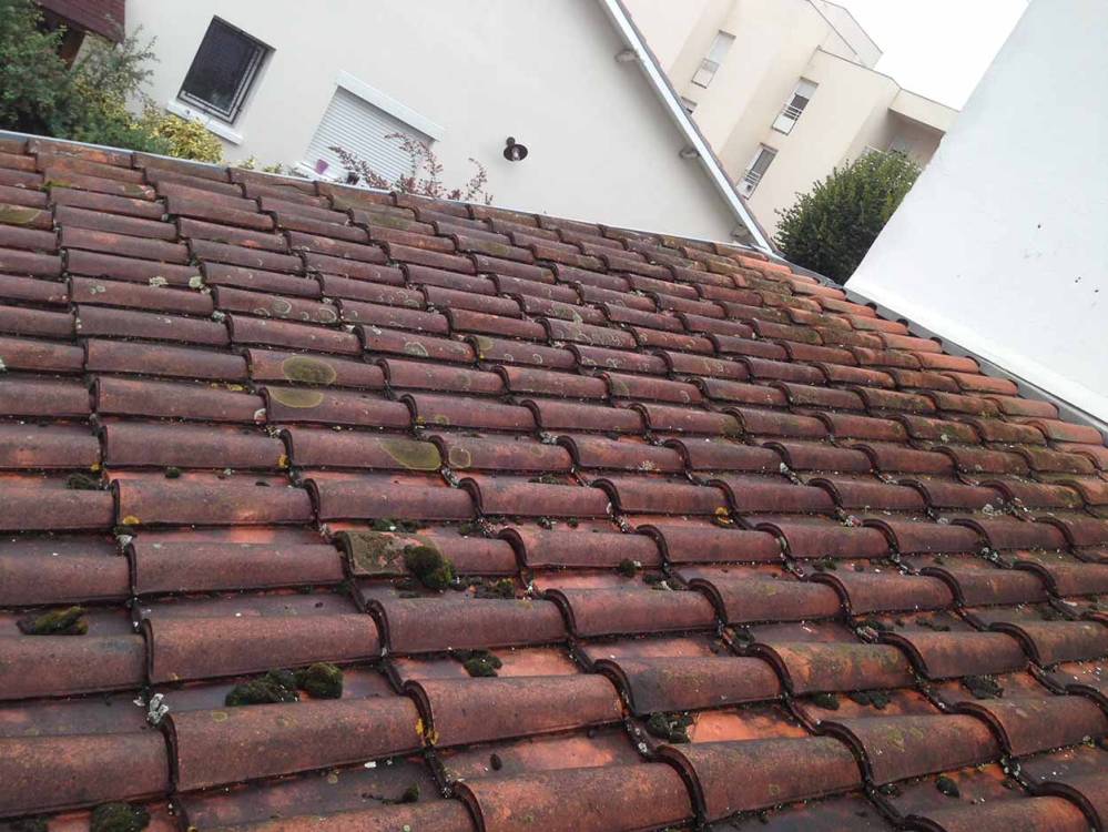 démoussage de toit